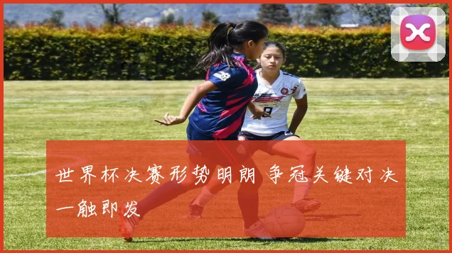 世界杯决赛形势明朗 争冠关键对决一触即发
