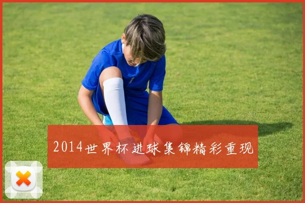 2014世界杯进球集锦精彩重现