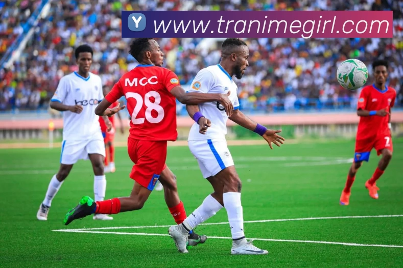 世界杯中国官网服务体系